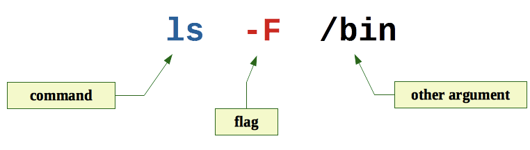 An anatomy of "ls -F /bin" command