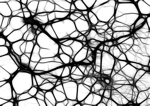 Artist's rendition of a biological neural network